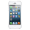 Apple iPhone 5 16Gb white - Михайловка
